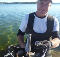 Oyster Farm and Tasting Tour with Hotel Pick-up and return from Port Lincoln - Accommodation Georgetown