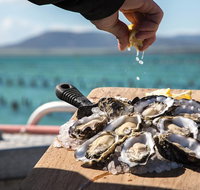 Experience Coffin Bay Oyster Farm and Bay Tour - Accommodation Georgetown