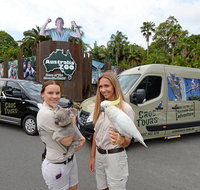Small-Group Australia Zoo Day Trip from Brisbane - Accommodation Georgetown