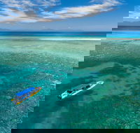 Ocean Safari Great Barrier Reef Experience in Cape Tribulation - Accommodation Georgetown