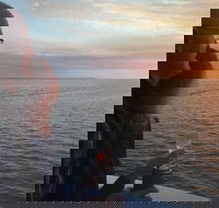 Hervey Bay Sunset Cruise - Accommodation Georgetown