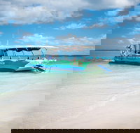 Great Sandy Marine Park Turtle Discovery and Cultural Eco Tour - Accommodation Georgetown