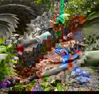 Cape Tribulation Jungle Surfing Canopy Tour - Accommodation Georgetown