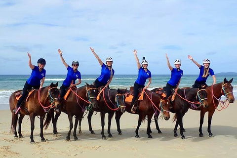 Rainbow Beach Horse Ride - Accommodation Georgetown 4