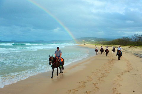 Rainbow Beach Horse Ride - Accommodation Georgetown 1