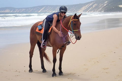 Rainbow Beach Horse Ride - Accommodation Georgetown 2