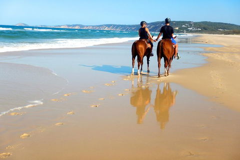 Rainbow Beach Horse Ride - Accommodation Georgetown 3