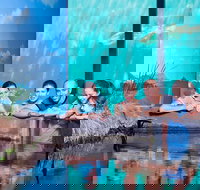 Reef HQ Great Barrier Reef Aquarium General Entry Ticket - Accommodation Georgetown