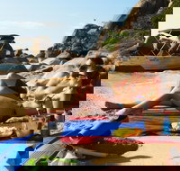 Orpheus Island Day Trip by Helicopter from Townsville - Accommodation Georgetown