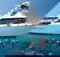 Great Barrier Reef Cruise from Townsville or Magnetic Island - Accommodation Georgetown