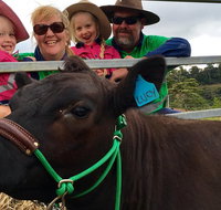 Mackay's Day in the Clouds Paddock to Plate Tour - Accommodation Georgetown
