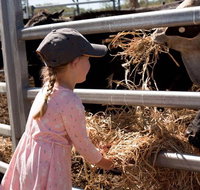 Mackay Farm Food and Flavours Tour - Accommodation Georgetown