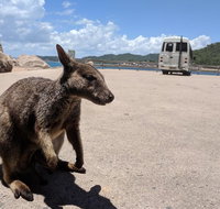 Magnetic Island Tour Maggie Comprehensive - Accommodation Georgetown