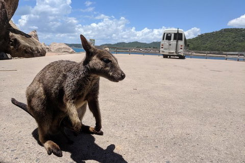 Magnetic Island Tour: Maggie Comprehensive - Accommodation Georgetown 2