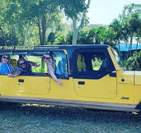 3.5 hour Eco Tour - Accommodation Georgetown