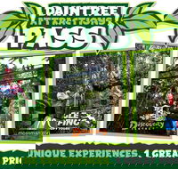 Daintree Atttractions Pass The Best of the Daintree in a Day - Accommodation Georgetown