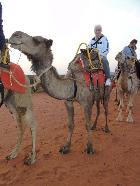 Uluru Small-Group Tour By Camel At Sunrise Or Sunset - Accommodation Georgetown 2