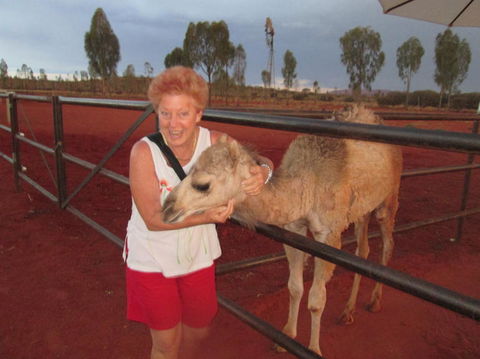 Uluru Small-Group Tour By Camel At Sunrise Or Sunset - Accommodation Georgetown 18