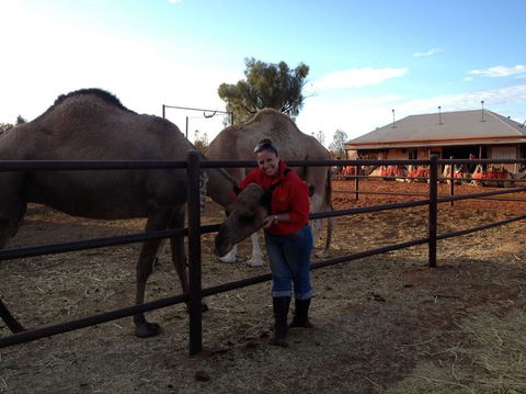 Uluru Small-Group Tour By Camel At Sunrise Or Sunset - Accommodation Georgetown 21
