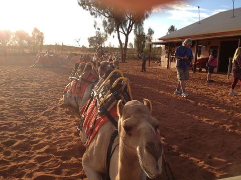 Uluru Small-Group Tour By Camel At Sunrise Or Sunset - Accommodation Georgetown 22