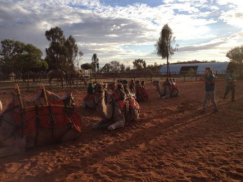 Uluru Small-Group Tour By Camel At Sunrise Or Sunset - Accommodation Georgetown 23