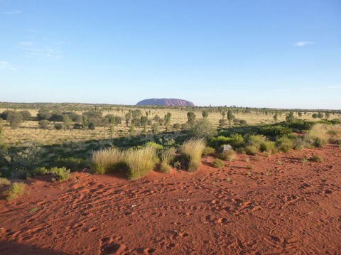 Uluru Small-Group Tour By Camel At Sunrise Or Sunset - Accommodation Georgetown 9