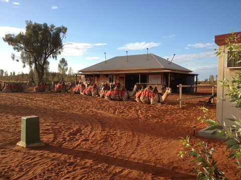 Uluru Small-Group Tour By Camel At Sunrise Or Sunset - Accommodation Georgetown 19