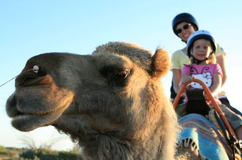 Uluru Small-Group Tour By Camel At Sunrise Or Sunset - Accommodation Georgetown 3