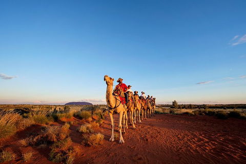 Uluru Small-Group Tour By Camel At Sunrise Or Sunset - Accommodation Georgetown 26