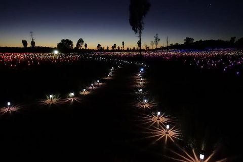 Uluru Field Of Light Sunrise Tour - Accommodation Georgetown 2