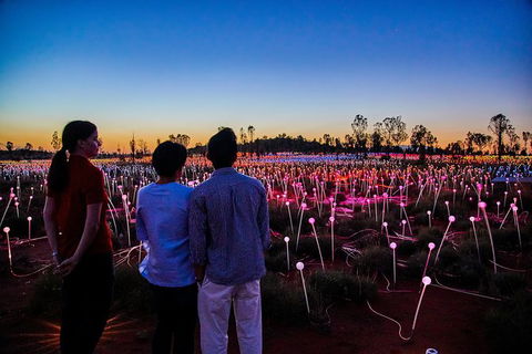 Uluru Field Of Light Sunrise Tour - Accommodation Georgetown 5