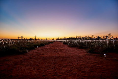 Uluru Field Of Light Sunrise Tour - Accommodation Georgetown 14