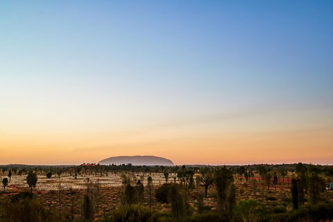 Uluru Field Of Light Sunrise Tour - Accommodation Georgetown 12