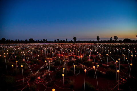 Uluru Field Of Light Sunrise Tour - Accommodation Georgetown 7