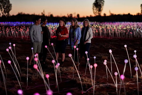 Uluru Field Of Light Sunrise Tour - Accommodation Georgetown 10