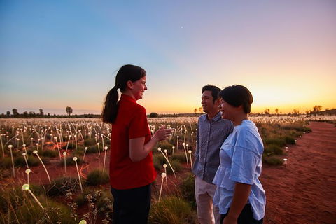 Uluru Field Of Light Sunrise Tour - Accommodation Georgetown 9