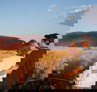Uluru Ayers Rock Sunset with Outback Barbecue Dinner and Star Tour - Accommodation Georgetown