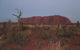 Uluru Base And Sunset Half-Day Trip With Optional Outback BBQ Dinner - thumb 3