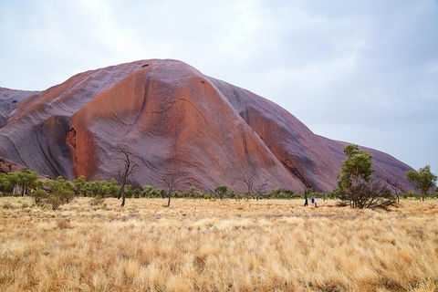 Uluru Base And Sunset Half-Day Trip With Optional Outback BBQ Dinner - Accommodation Georgetown 10