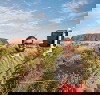 3-Day Ayers Rock and Kings Canyon Camping Tour - Accommodation Georgetown