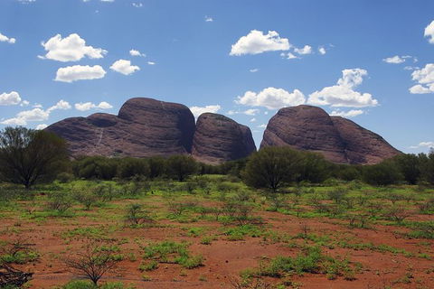 Uluru (Ayers Rock) And The Olgas Tour Including Sunset Dinner From Alice Springs - Accommodation Georgetown 0