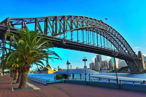 Half Day In Sydney With A Local: Private & Personalized - Accommodation Georgetown 10