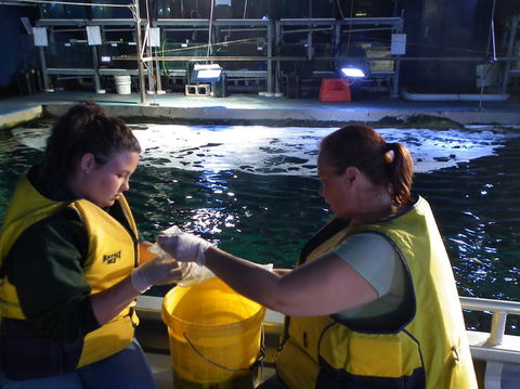 SEA LIFE Sydney Aquarium Entrance Ticket - Accommodation Georgetown 14