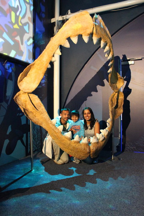 SEA LIFE Sydney Aquarium Entrance Ticket - Accommodation Georgetown 6