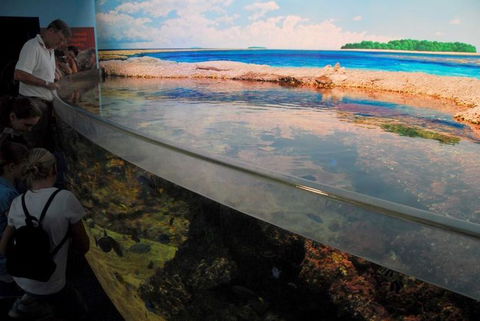SEA LIFE Sydney Aquarium Entrance Ticket - Accommodation Georgetown 24