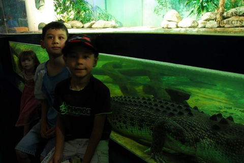 SEA LIFE Sydney Aquarium Entrance Ticket - Accommodation Georgetown 22