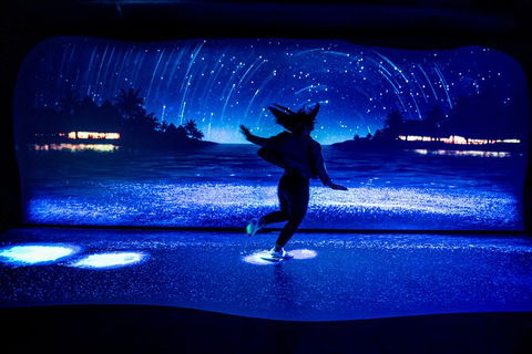 SEA LIFE Sydney Aquarium Entrance Ticket - Accommodation Georgetown 35