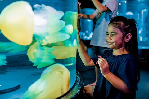 SEA LIFE Sydney Aquarium Entrance Ticket - Accommodation Georgetown 26