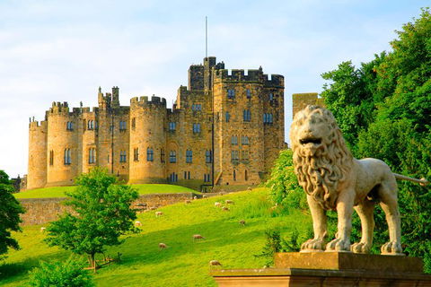 Alnwick Castle Ticket - Accommodation Georgetown 1