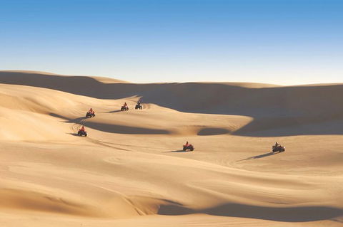 Worimi Sand Dunes Quad Bike Tour - Accommodation Georgetown 5